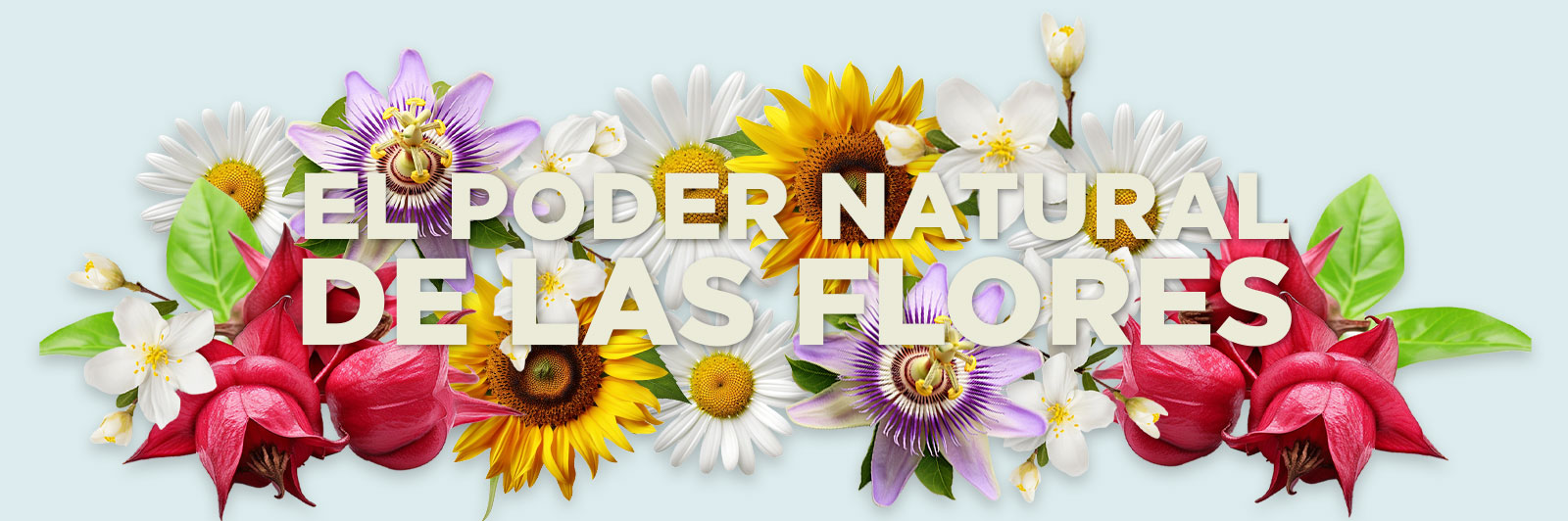 El poder natural de las flores